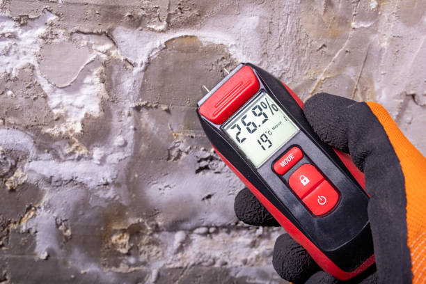 Best Water Damage Restoration  in Shelby, OH