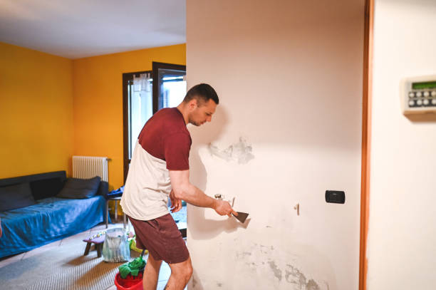 Best Affordable Mold Removal  in Shelby, OH
